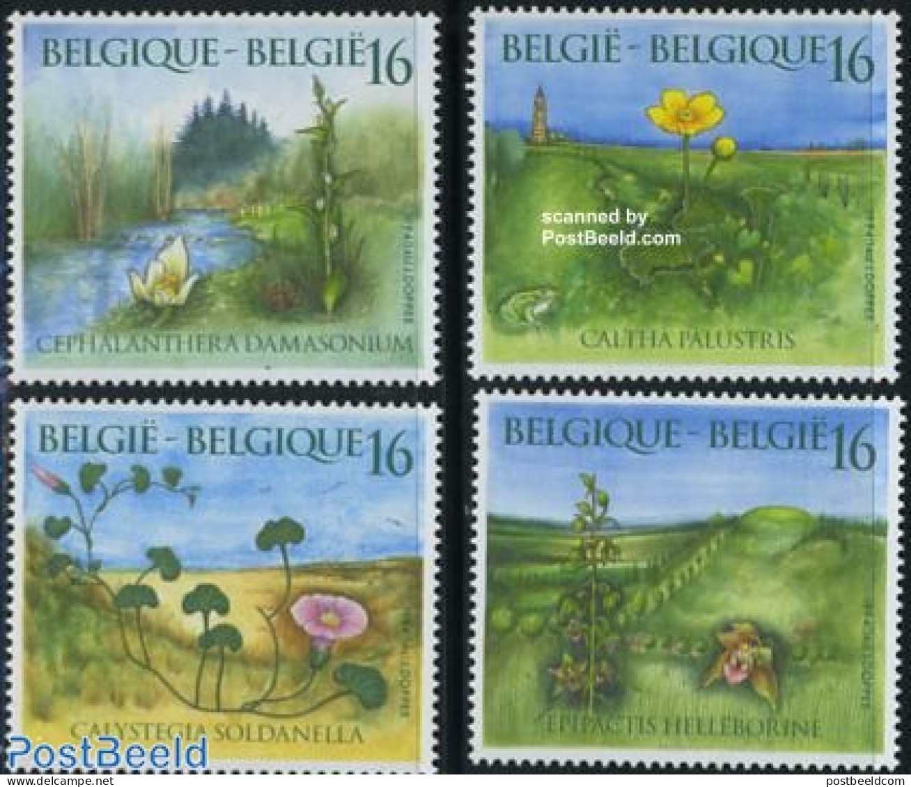 Belgium 1994 Flowers 4v, Mint NH, Nature - Flowers & Plants - Nuevos