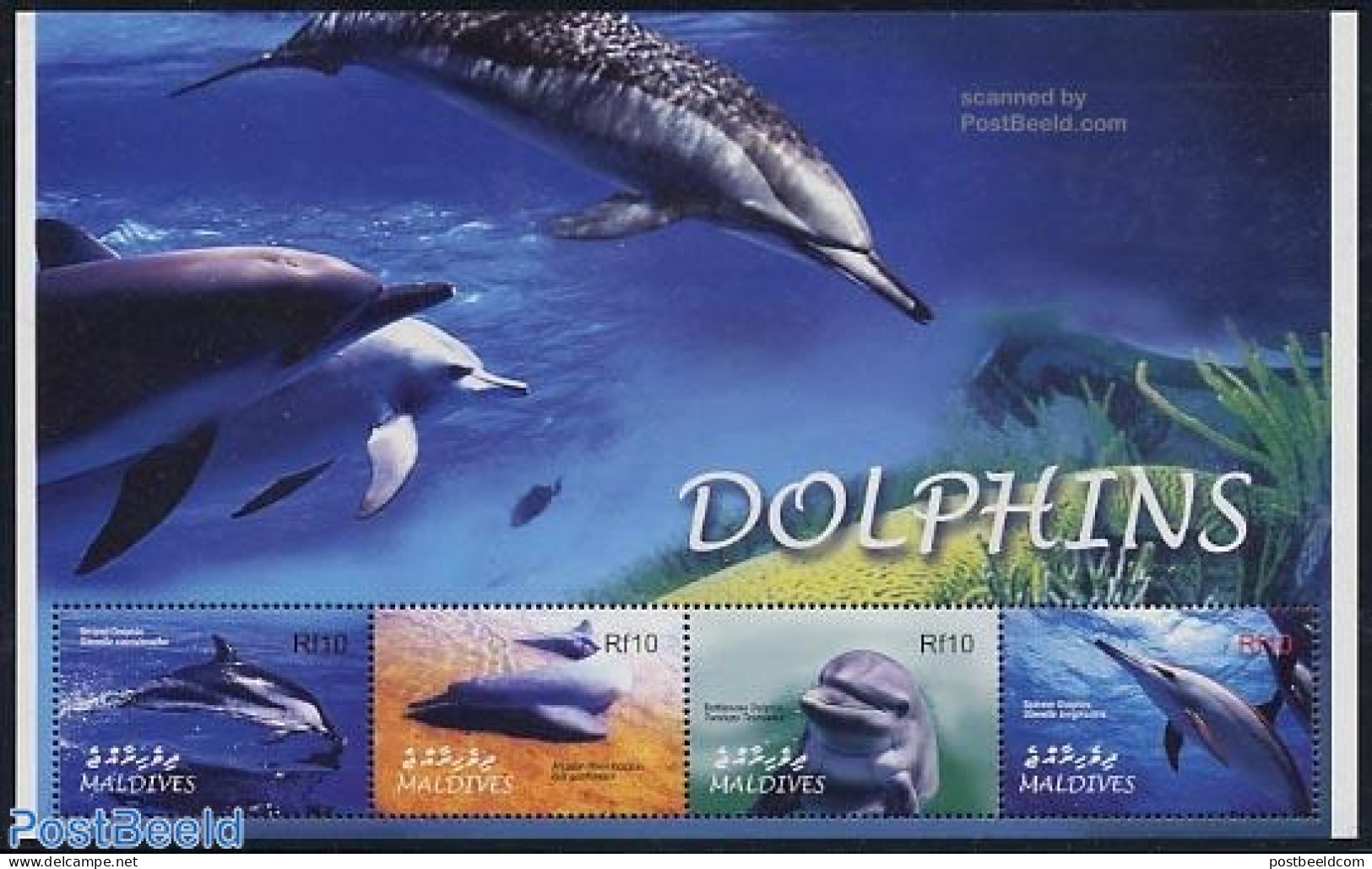 Maldives 2004 Dolphins 4v M/s, Striped Dolphin, Mint NH, Nature - Sea Mammals - Maldives (1965-...)