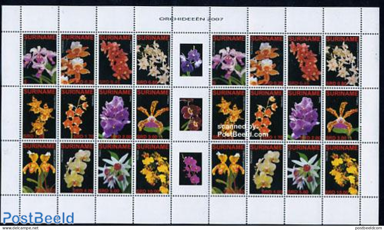 Suriname, Republic 2007 Orchids 2x12v M/s (with Gutters), Mint NH, Nature - Flowers & Plants - Orchids - Surinam