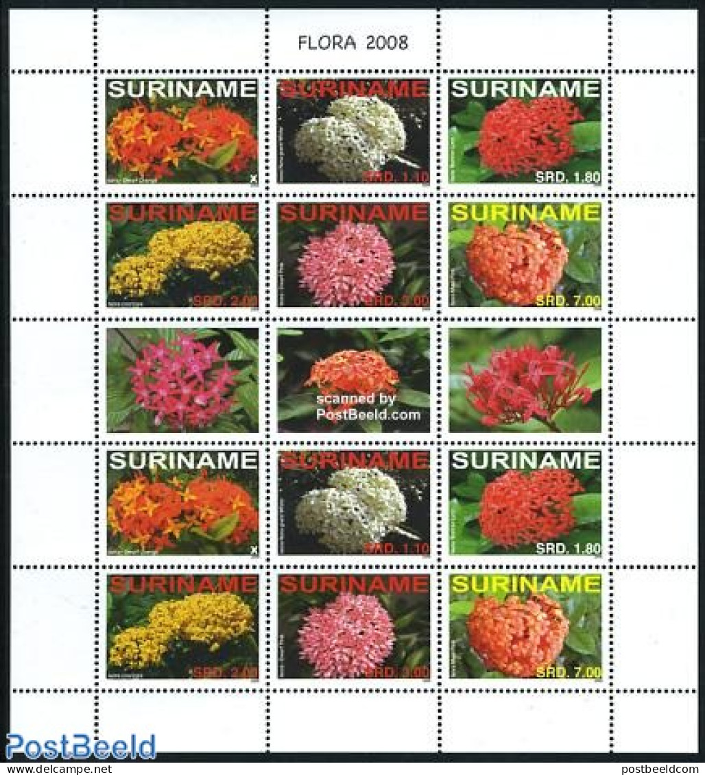 Suriname, Republic 2008 Flowers M/s (with 2 Sets), Mint NH, Nature - Flowers & Plants - Surinam