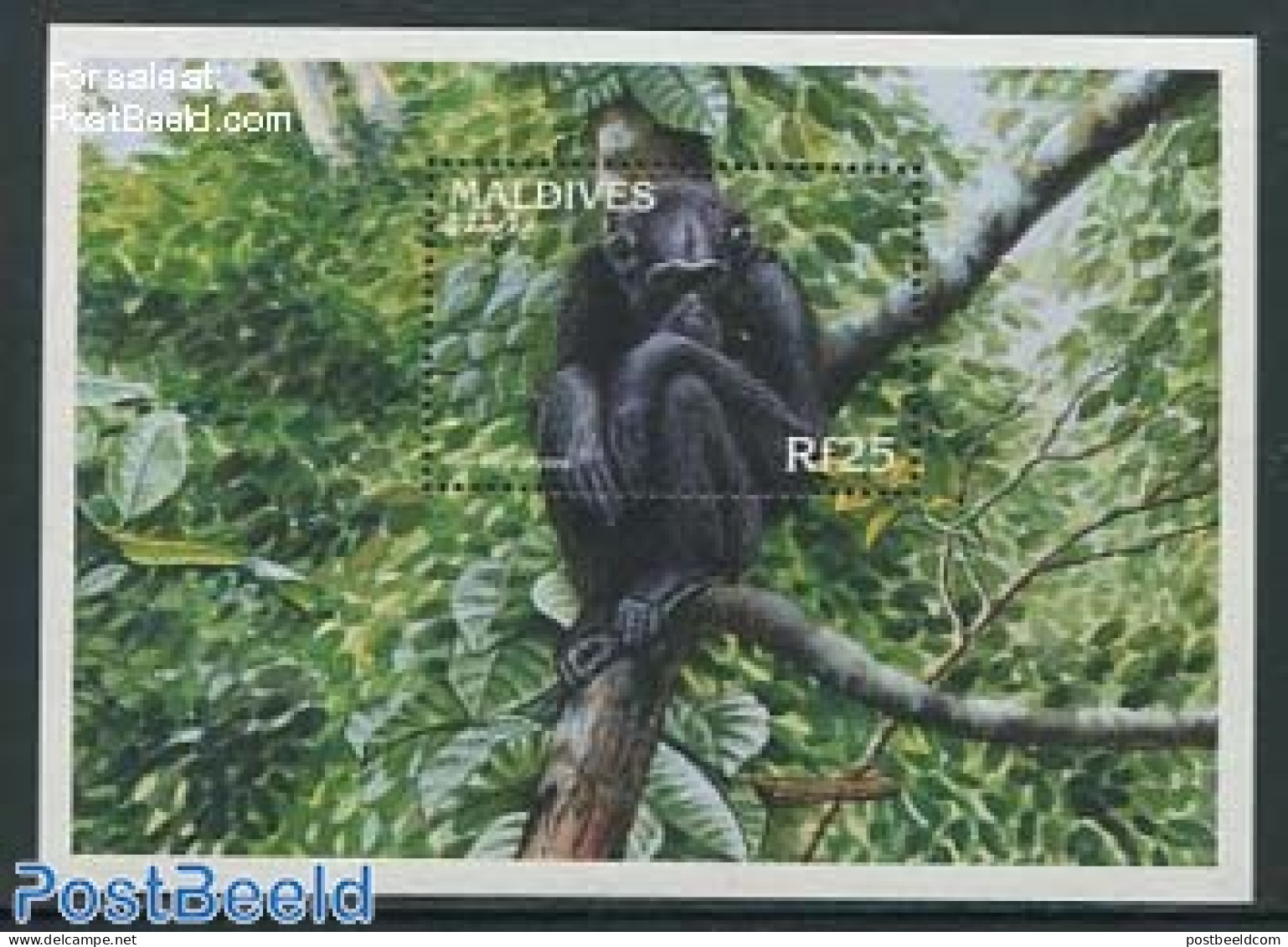 Maldives 1996 Fauna S/s, Mint NH, Nature - Animals (others & Mixed) - Monkeys - Maldives (1965-...)