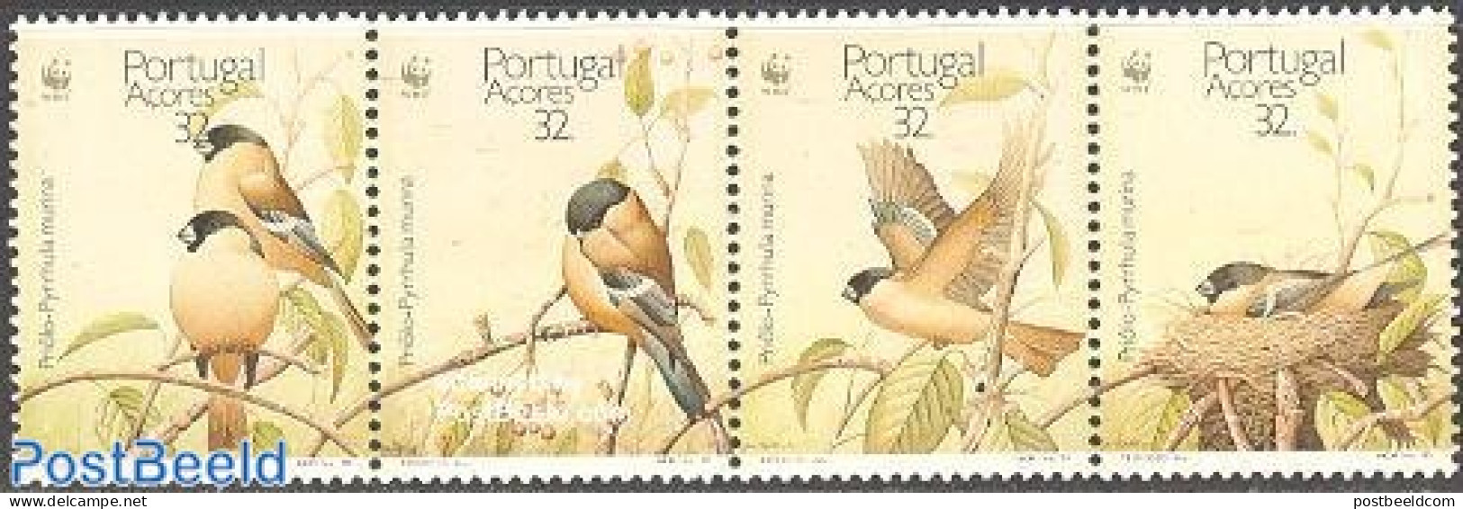 Azores 1990 WWF Birds 4v [:::], Mint NH, Nature - Birds - World Wildlife Fund (WWF) - Azoren