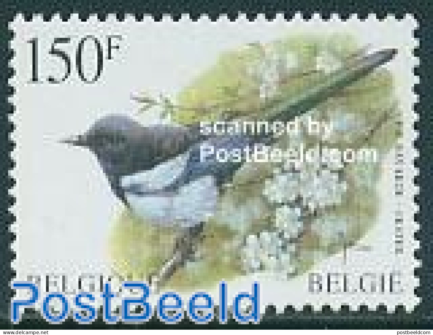 Belgium 1997 Bird 1v, Mint NH, Nature - Birds - Neufs