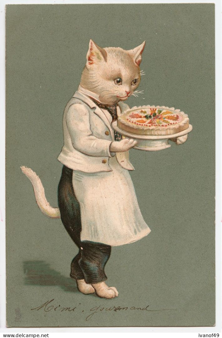 Belle Carte Fantaisie - CHAT HUMANISE LIVRANT UN GATEAU CARTE GAUFFREE - CPA - Précurseur Raphael Tuck 1904 - Cats