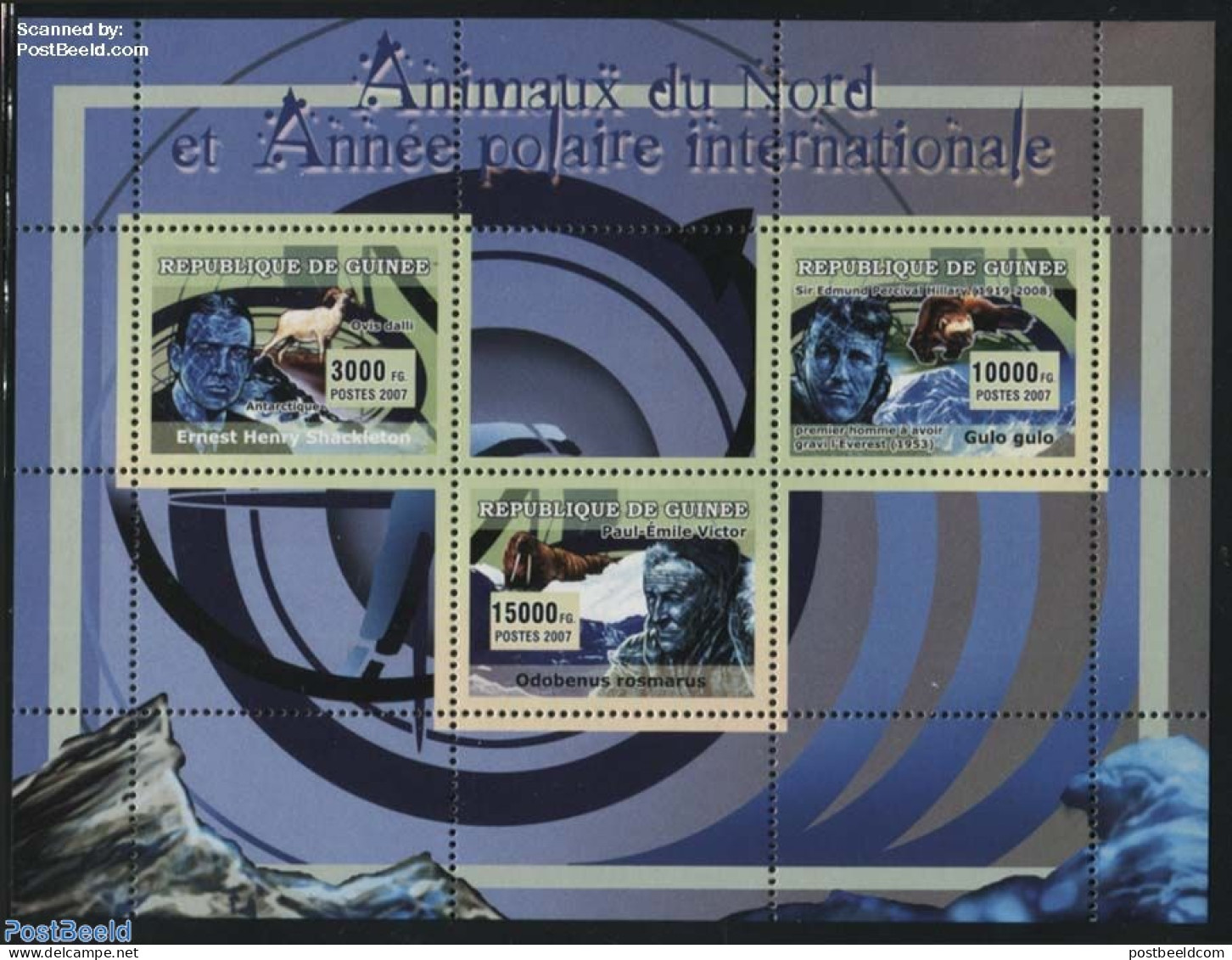 Guinea, Republic 2007 Polar Animals 3v M/s, Mint NH, History - Nature - Science - Explorers - Animals (others & Mixed).. - Erforscher