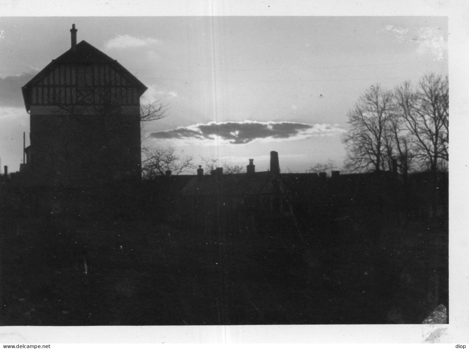 Photographie Photo Vintage Snapshot Contrejour - Autres & Non Classés