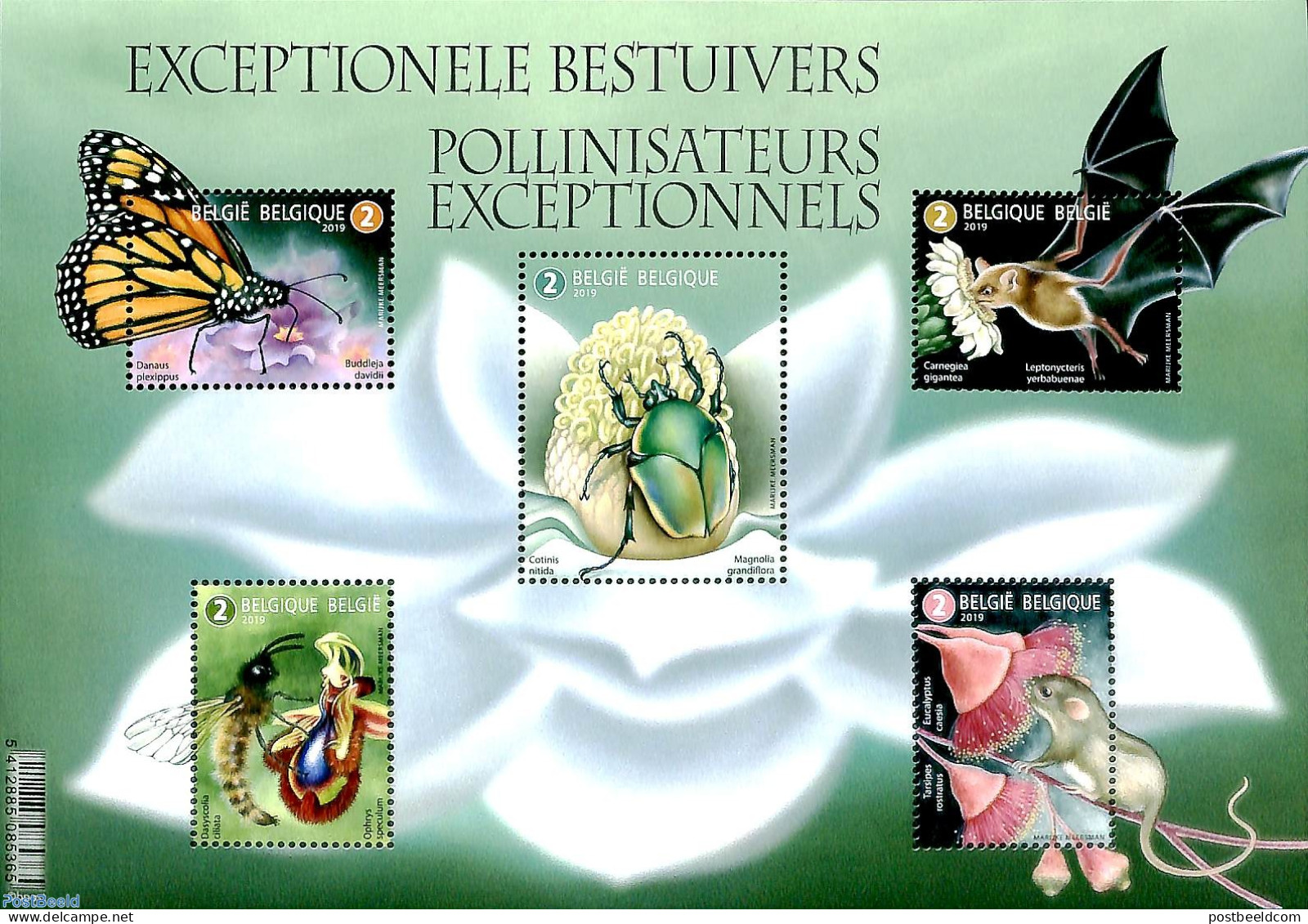 Belgium 2019 Exceptional Pollinisators 5v M/s, Mint NH, Nature - Bats - Butterflies - Insects - Unused Stamps