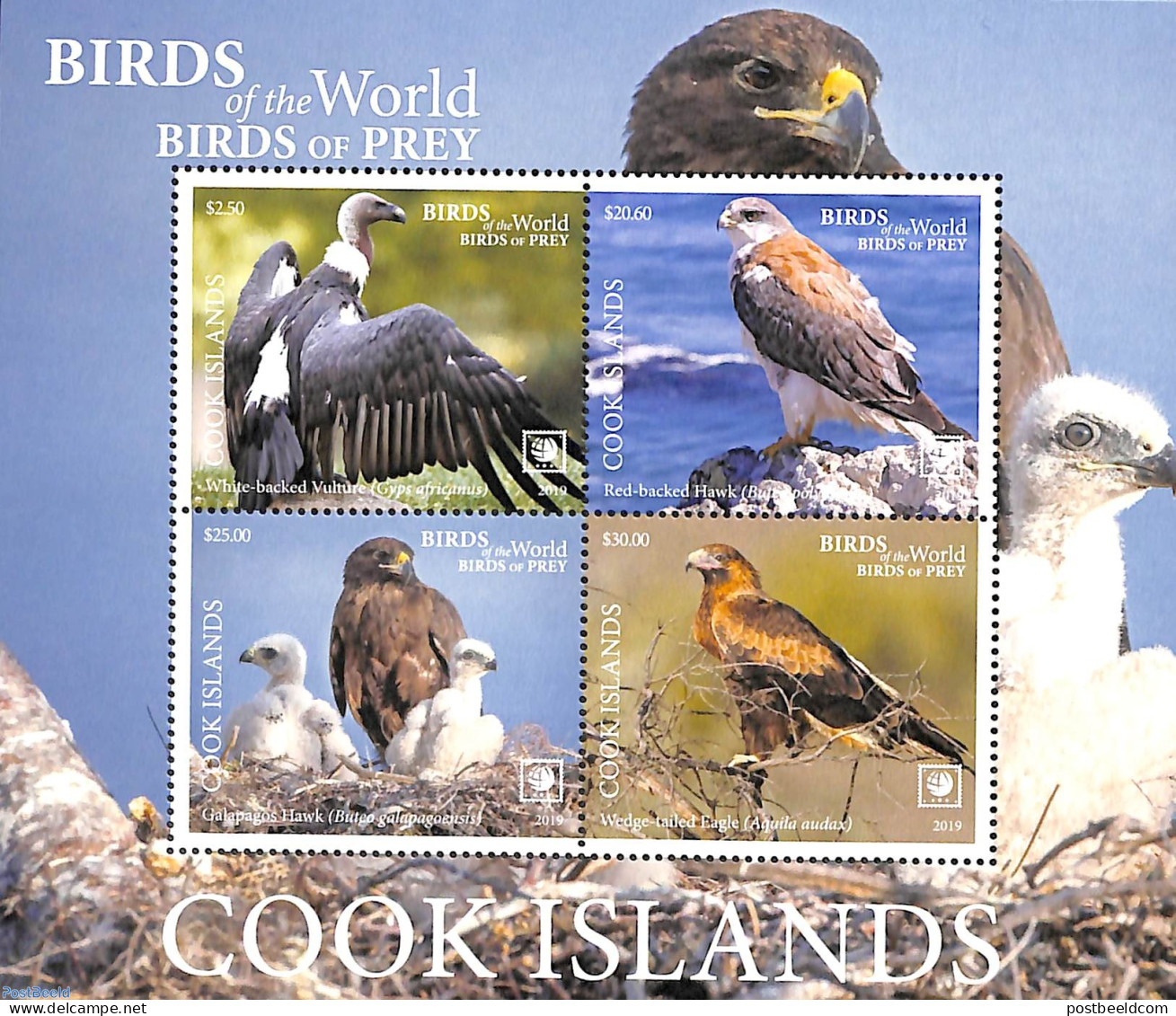 Cook Islands 2019 Birds Of Prey S/s, Mint NH, Nature - Birds - Birds Of Prey - Other & Unclassified