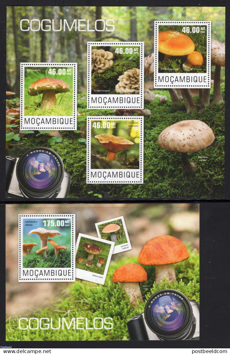 Mozambique 2014 Mushrooms 2 S/s, Mint NH, Nature - Mushrooms - Mushrooms