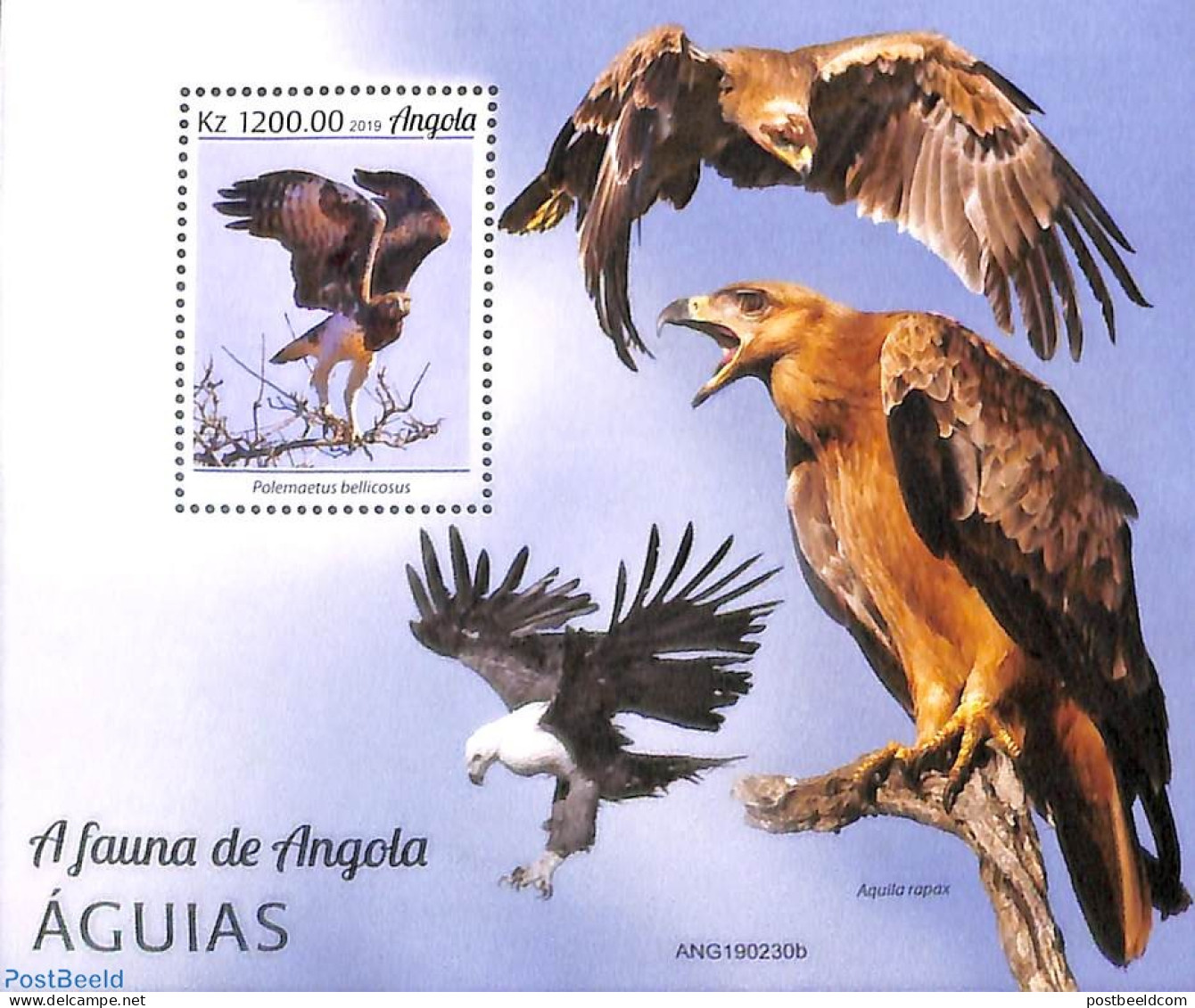 Angola 2019 Eagles S/s, Mint NH, Nature - Birds - Birds Of Prey - Angola