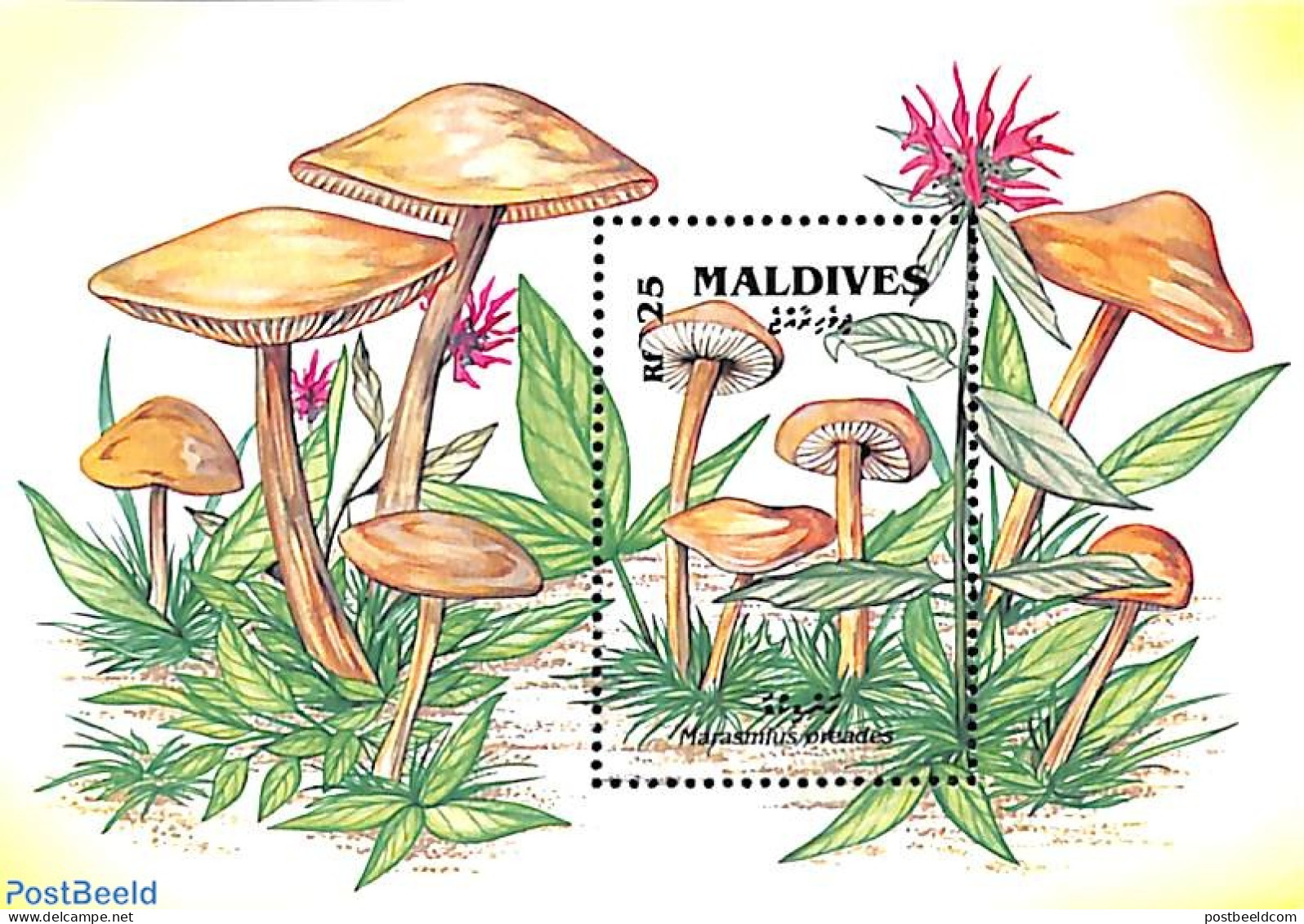 Maldives 1992 Marasmius Oreades S/s, Mint NH, Nature - Mushrooms - Pilze