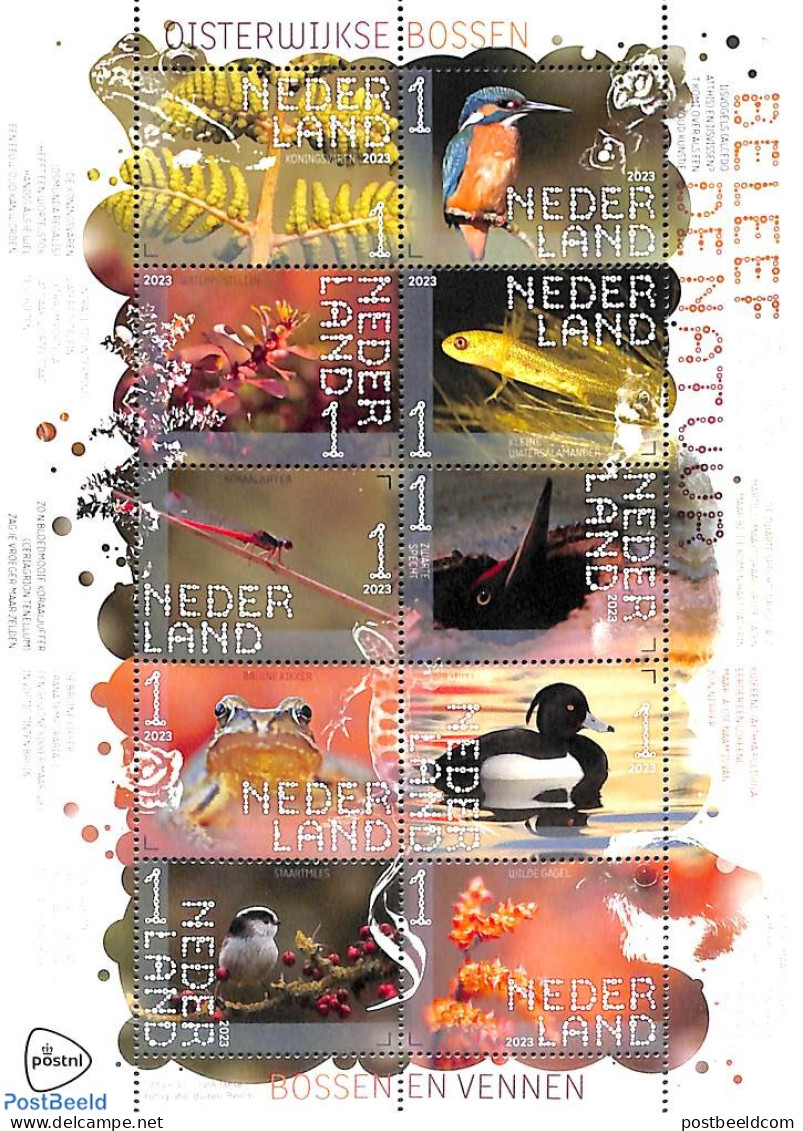 Netherlands 2023 Oisterwijkse Bossen 10v M/s S-a, Mint NH, Nature - Birds - Ducks - Fish - Frogs & Toads - Insects - Nuevos