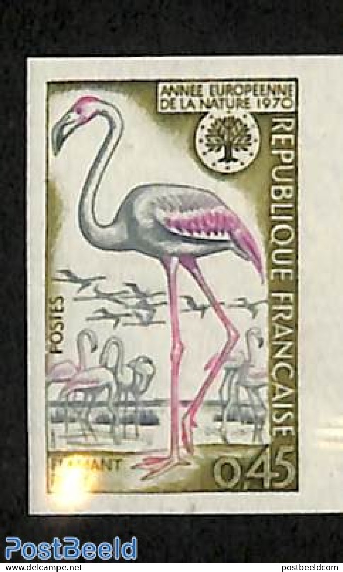 France 1970 European Nature Conservation 1v, Imperforated, Mint NH, History - Nature - Europa Hang-on Issues - Birds -.. - Nuovi