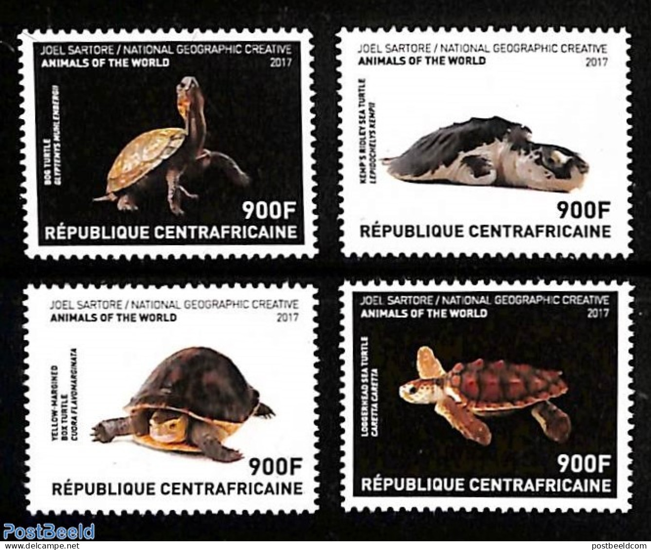 Central Africa 2017 Turtles 4v, Mint NH, Nature - Turtles - Central African Republic