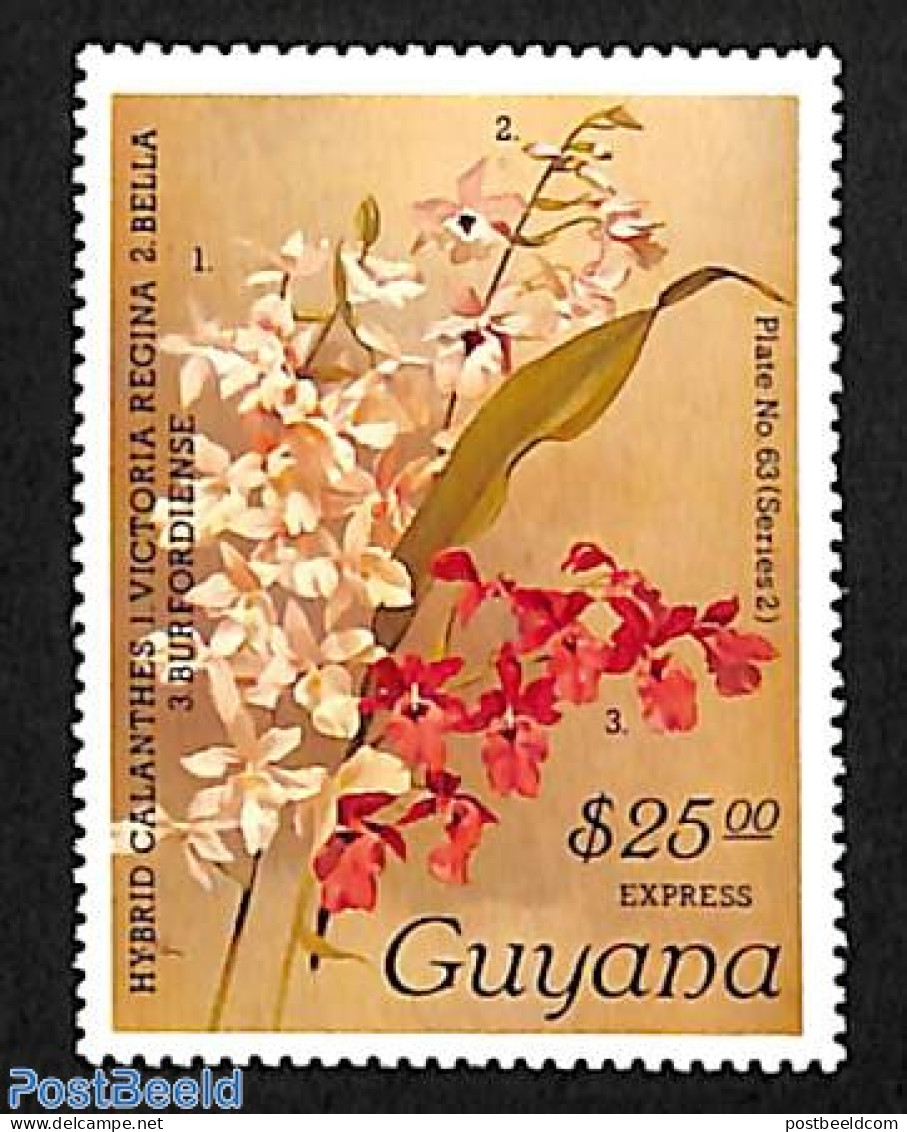 Guyana 1987 25.00$, Stamp Out Of Set, Mint NH, Nature - Orchids - Guyane (1966-...)