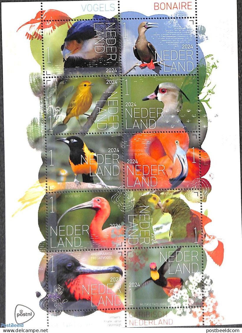 Netherlands 2024 Birds From Bonaire 10v M/s S-a, Mint NH, Nature - Birds - Flamingo - Ongebruikt