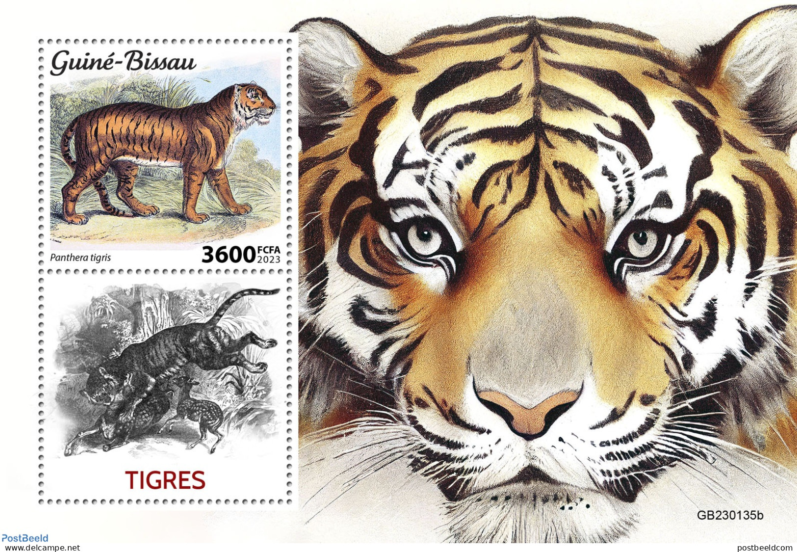 Guinea Bissau 2023 Tigers, Mint NH, Nature - Cat Family - Guinée-Bissau