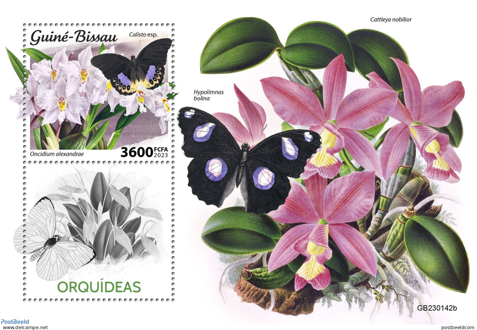 Guinea Bissau 2023 Orchids, Mint NH, Nature - Butterflies - Flowers & Plants - Orchids - Guinea-Bissau