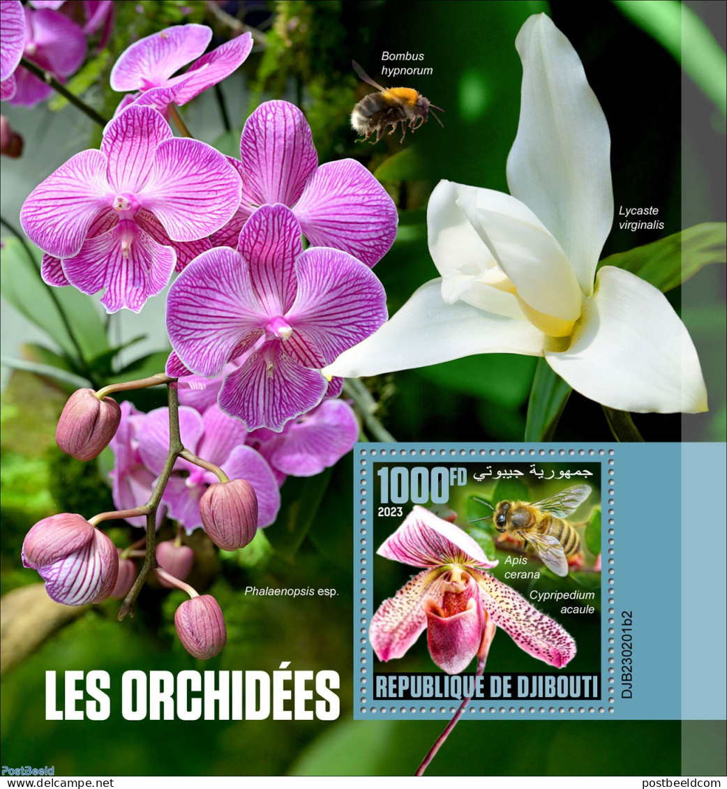Djibouti 2023 Orchids, Mint NH, Nature - Bees - Flowers & Plants - Orchids - Gibuti (1977-...)