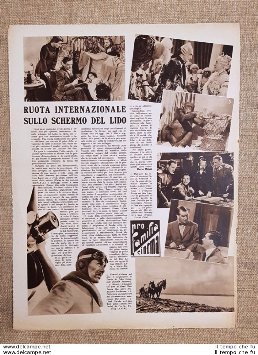 Film Nidiata Carey Giocatore Scacchi Monkey Into Man Illustrazione Cinema 1938 - Other & Unclassified