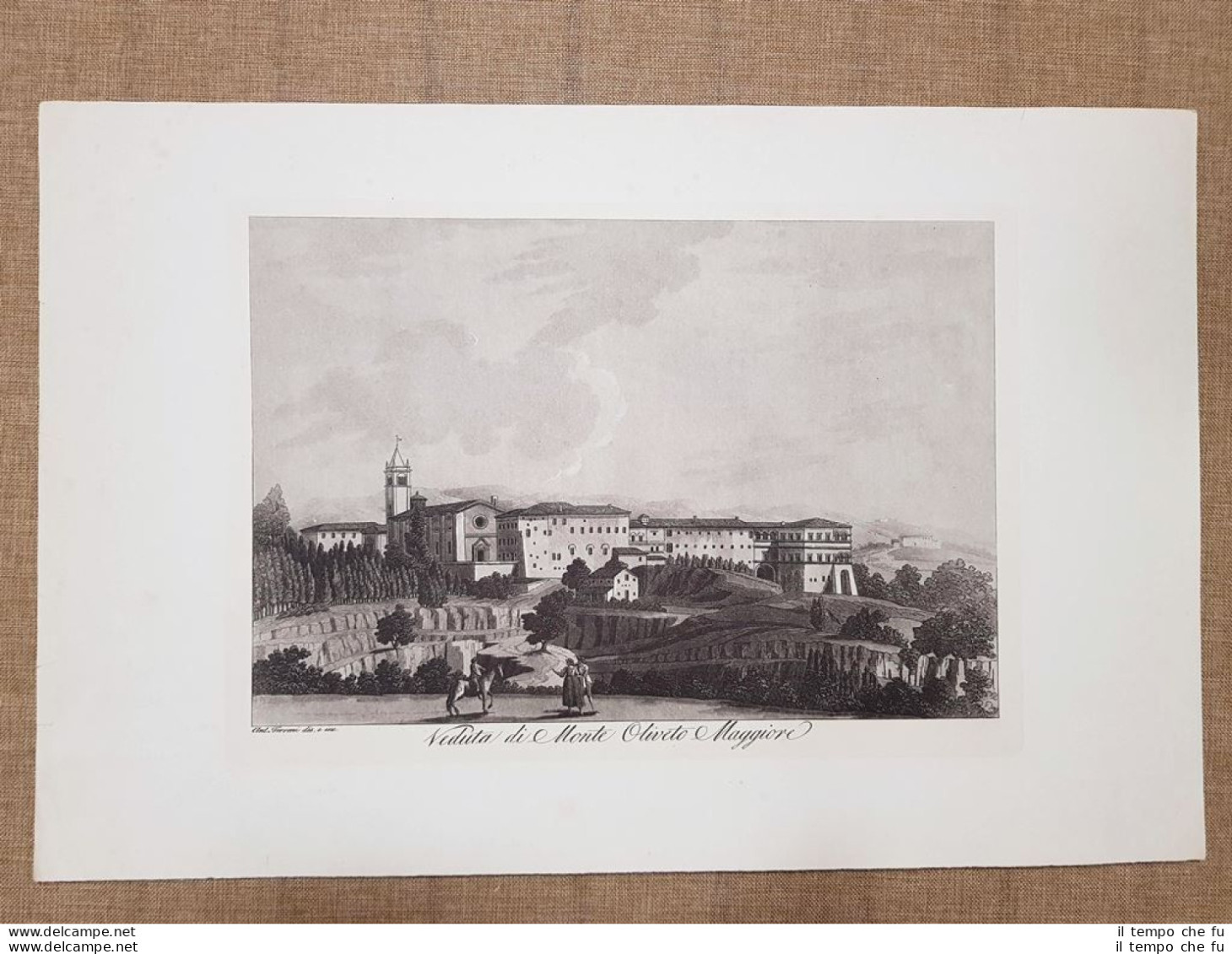 Veduta Abbazia Di Monte Oliveto Maggiore A. Terreni Grande Litografia Ristampa - Other & Unclassified