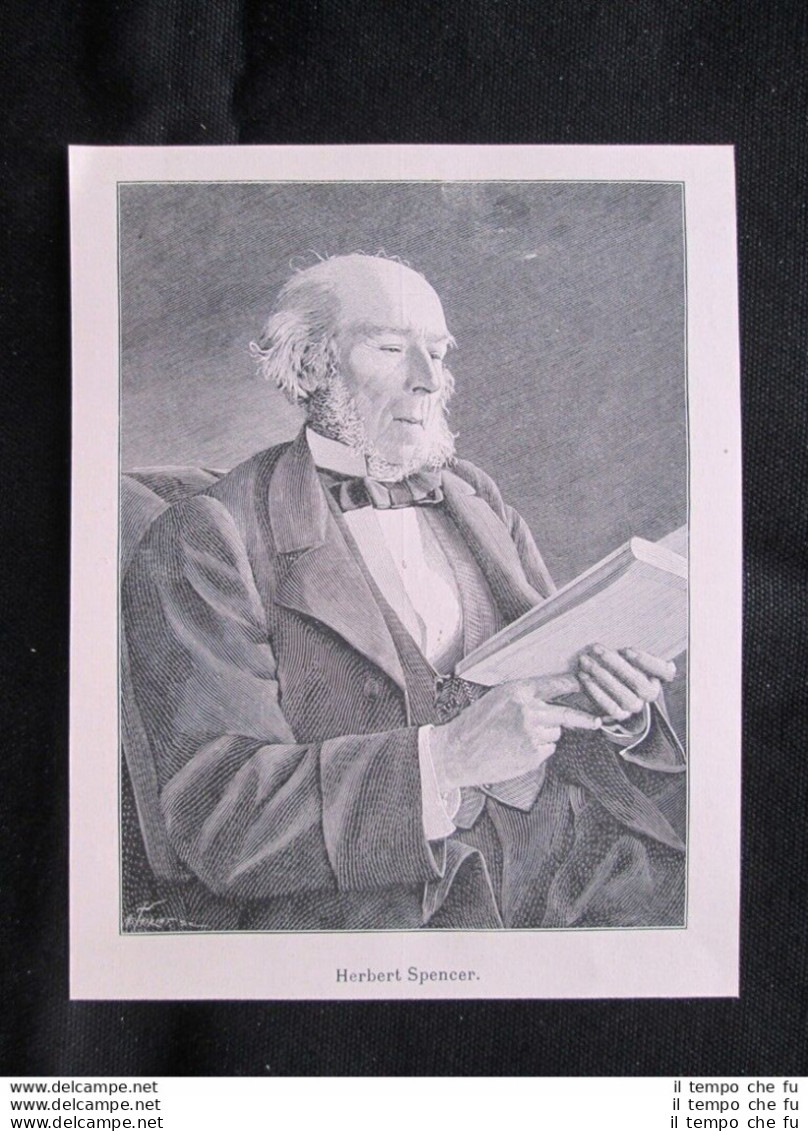 Il Filosofo Britannico Herbert Spencer, Morto L'8 Settembre 1903 Stampa Del 1903 - Altri & Non Classificati