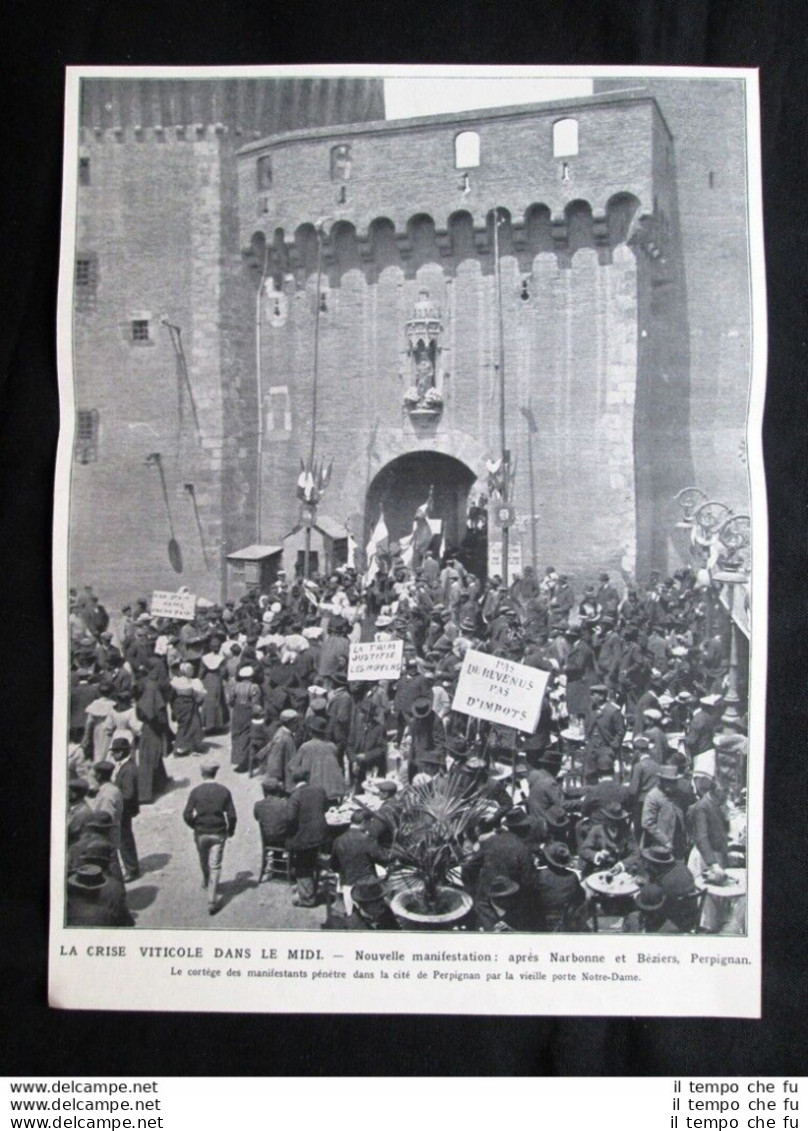 Crisi Del Vino Nel Sud Della Francia: Manifestazione A Perpignan Stampa Del 1907 - Sonstige & Ohne Zuordnung