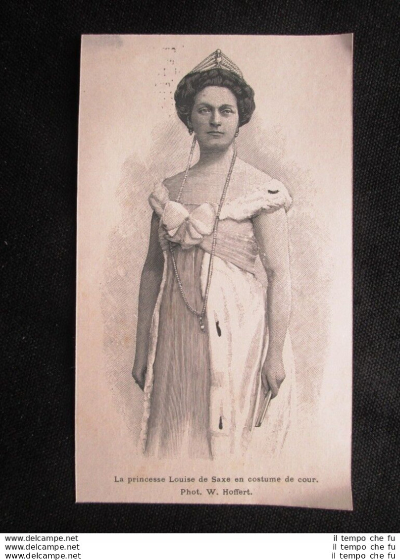 La Principessa Louise Di Sassonia In Costume Da Corte Stampa Del 1903 - Other & Unclassified