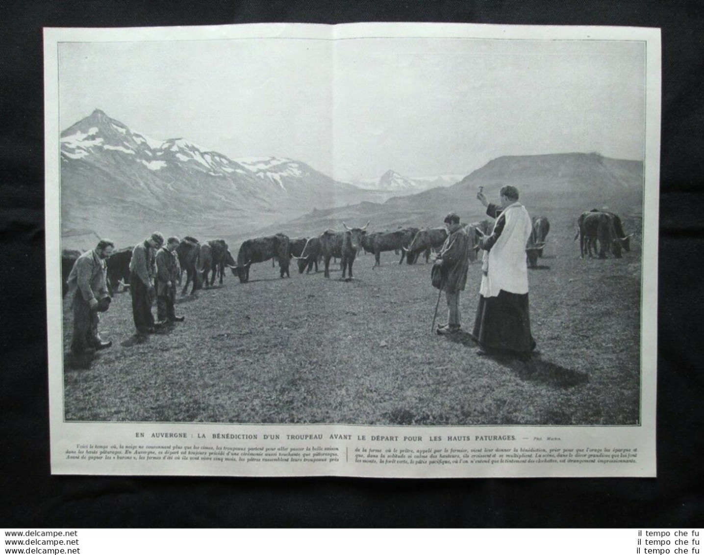 In Alvernia, Francia: La Benedizione Di Una Mandria Stampa Del 1907 - Other & Unclassified