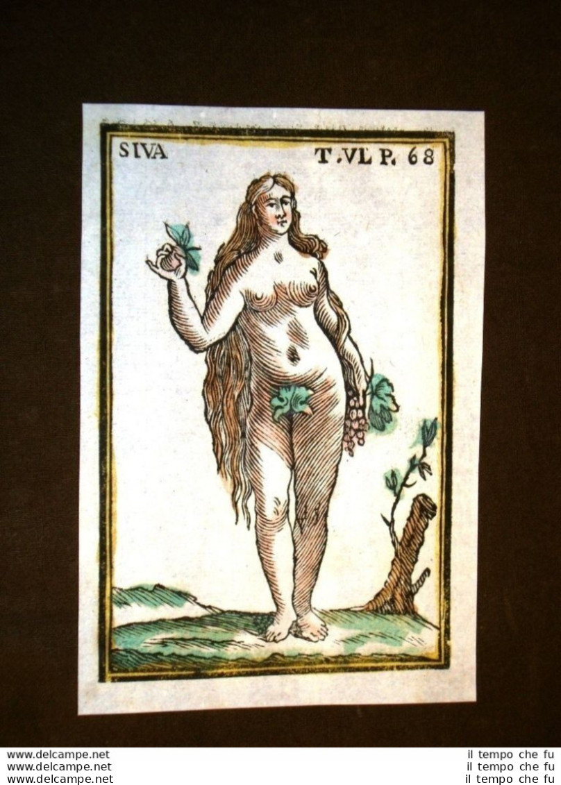 Siva Divinità Indù Settecentina Acquerellata A Mano Del 1785 Andre Declaustre - Estampes & Gravures
