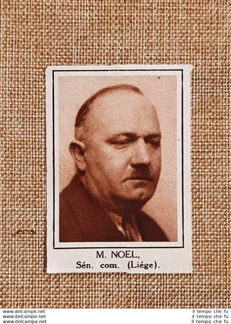 Parlamentare M. Noel Liege Elezioni Del 24 Maggio 1936 - Other & Unclassified