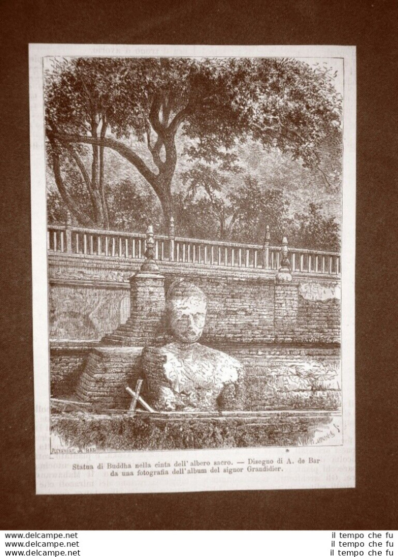 Bodh Gaya Nel 1863 Statua Del Buddha Albero Sacro E Mensola Tavola Offerte India - Before 1900