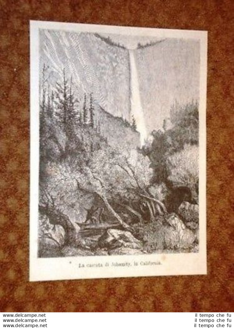La Cascata Di Johemity In California - Before 1900