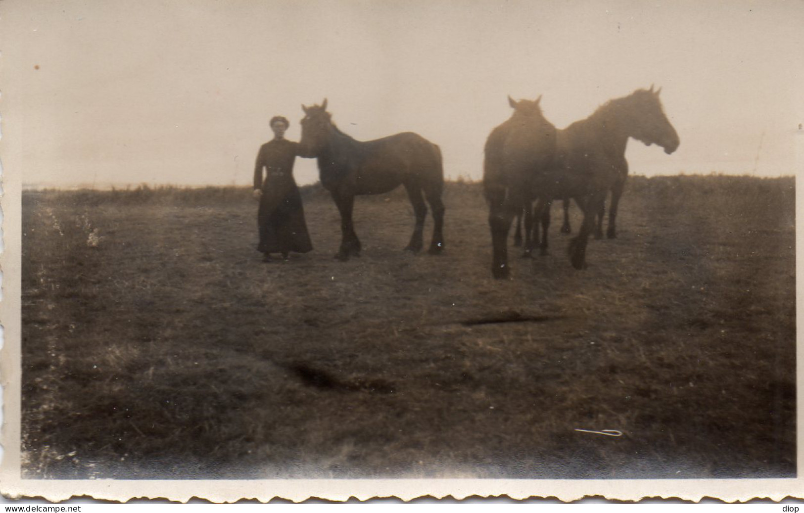 Photographie Photo Vintage Snapshot Cheval Horse  - Other & Unclassified