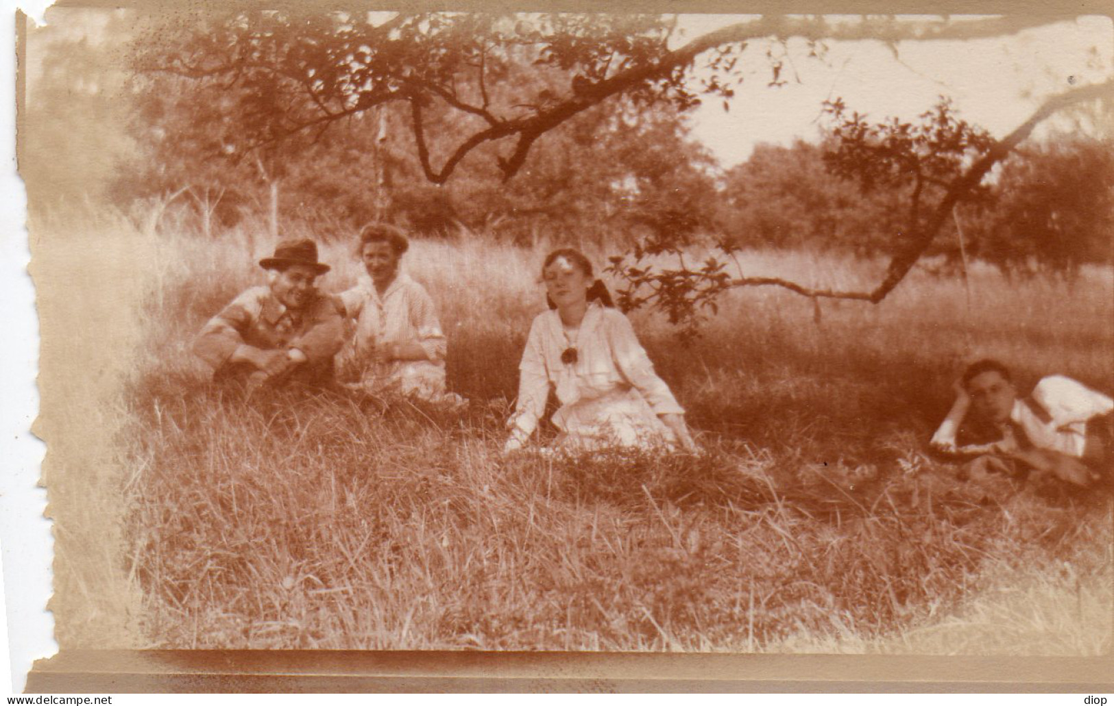 Photographie Photo Vintage Snapshot Groupe Couple Arbre Repos - Anonymous Persons