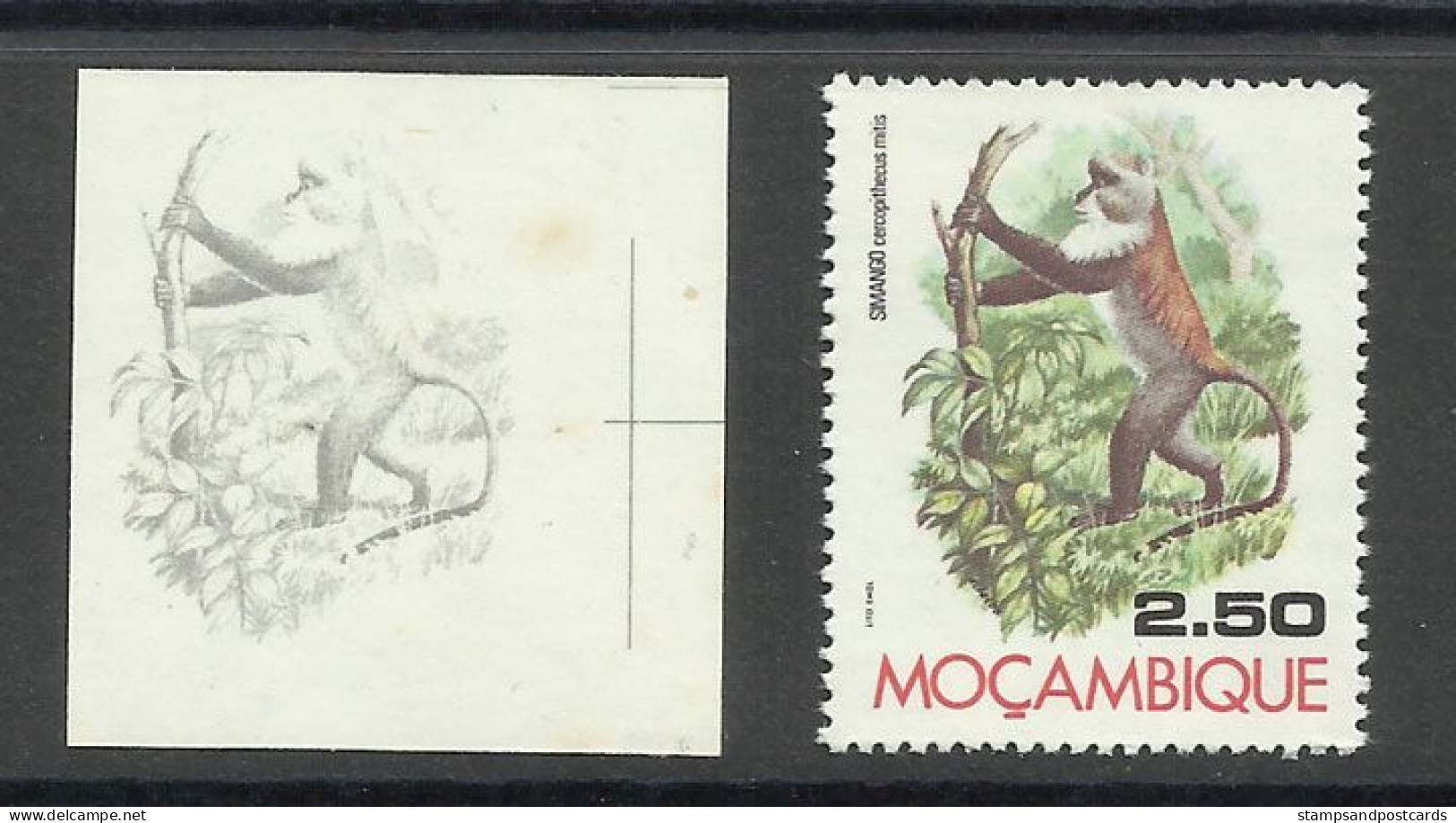 Mozambique 1976 Preuve De Couleur Singe Bleu Cercopithecus Mitis Moçambique 1976 Color Proof Blue Monkey - Affen