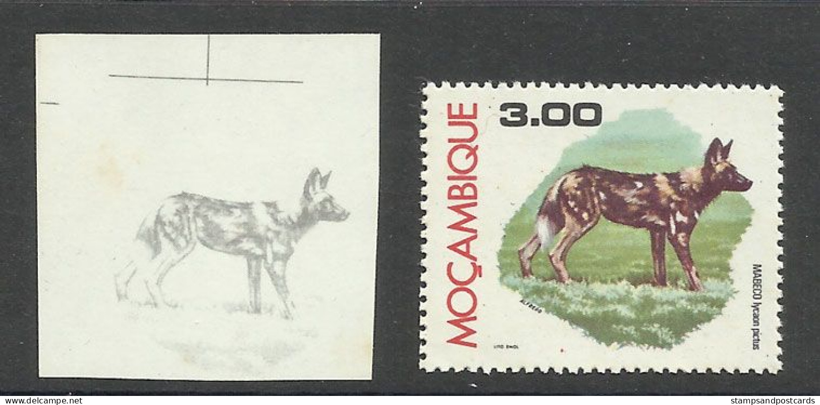 Mozambique 1976 Preuve De Couleur Lycaon Pictus Chien Sauvage D'Afrique Moçambique 1976 Color Proof Cape Hunting Dog - Honden