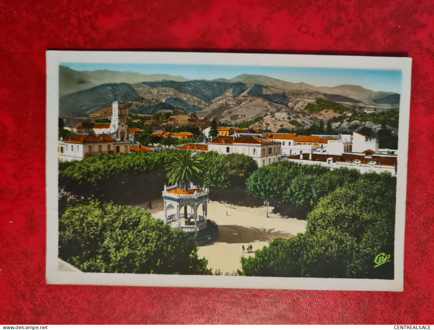 Carte ALGERIE  BLIDA VUE PLACE D'ARMES - Blida