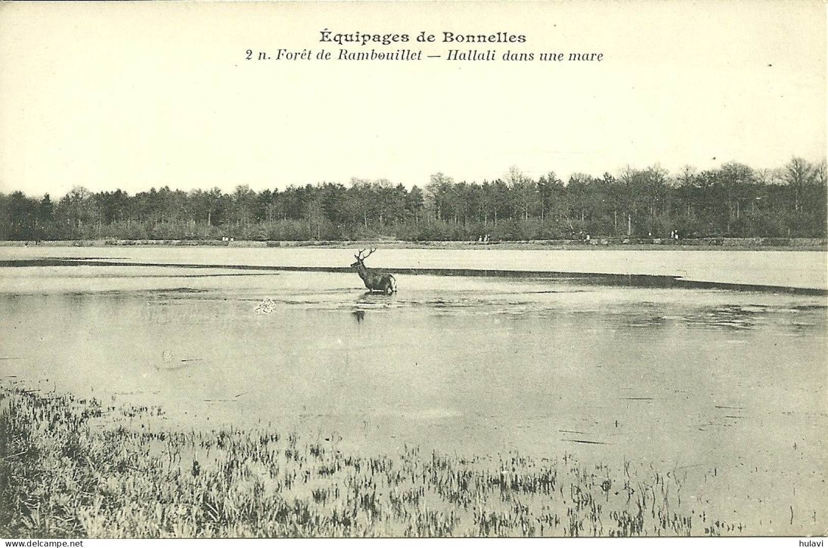 78  EQUIPAGES DE BONNELLES - FORET DE RAMBOUILLET - HALLALI DANS UNE MARE (ref 357) - Rambouillet