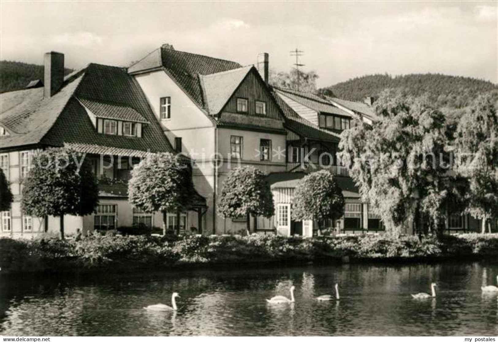 73097325 Ilsenburg Harz Forellenteich Ilsenburg Harz - Ilsenburg