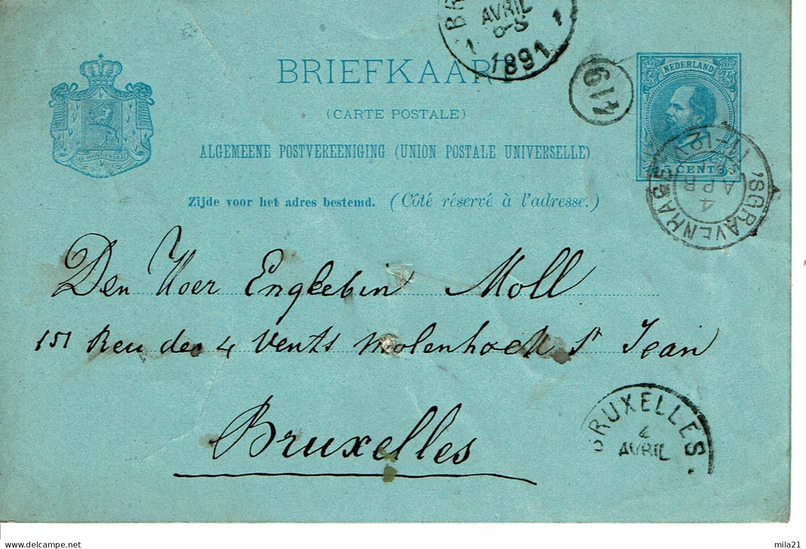NEDERLAND Briefkaart  CARTON Face  BLEU 5 Cent - Lettres & Documents