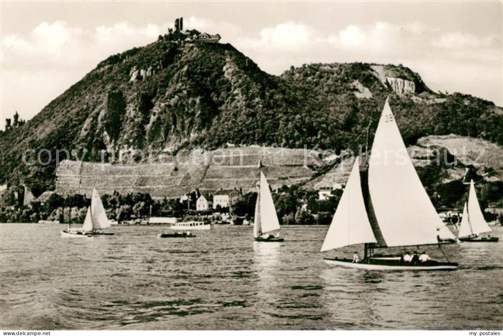 73097033 Drachenfels Segelregatta Drachenfels - Königswinter