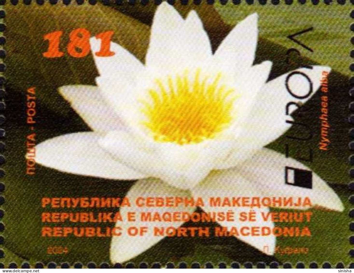 North Macedonia / 2024 / Europa / Stamp And S/S / Underwater Fauna And Flora - Macedonia Del Nord