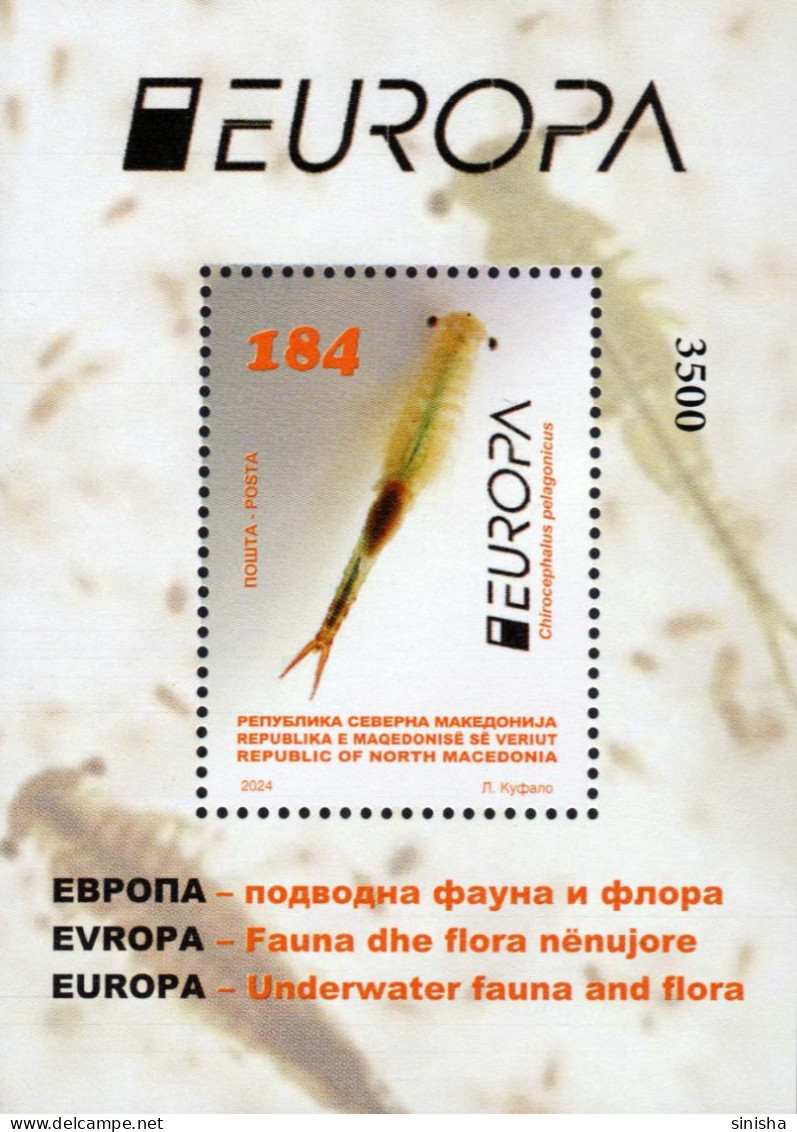 North Macedonia / 2024 / Europa / Stamp And S/S / Underwater Fauna And Flora - Macedonia Del Norte