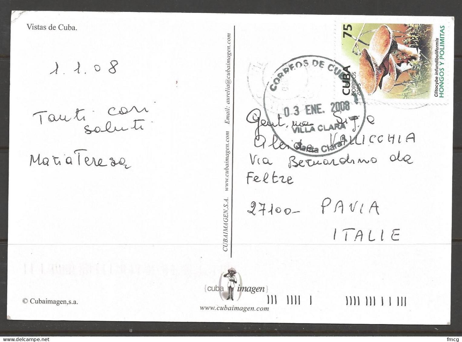 Postcard Mailed From Cuba To Pavia Italy 2008 03 ENE, Mushroom - 2001-10: Marcofilia