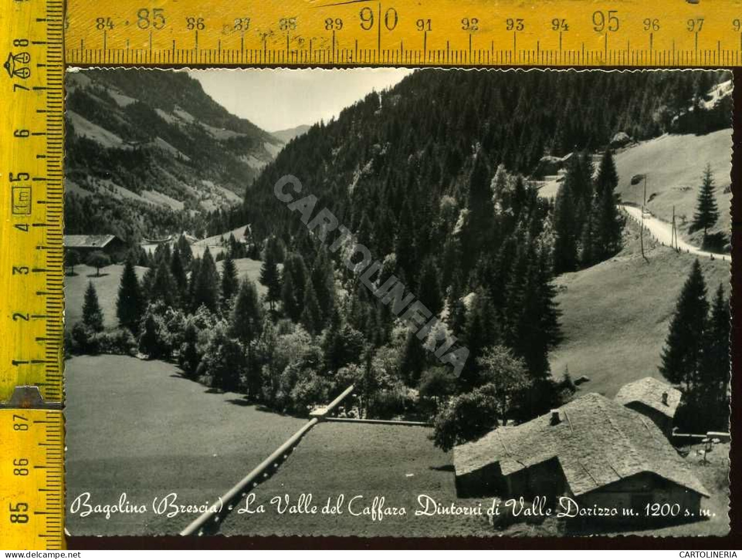 Brescia  Bagolino  La Valle Del Caffaro - Dintorni Di Valle Dorizzo  - Brescia