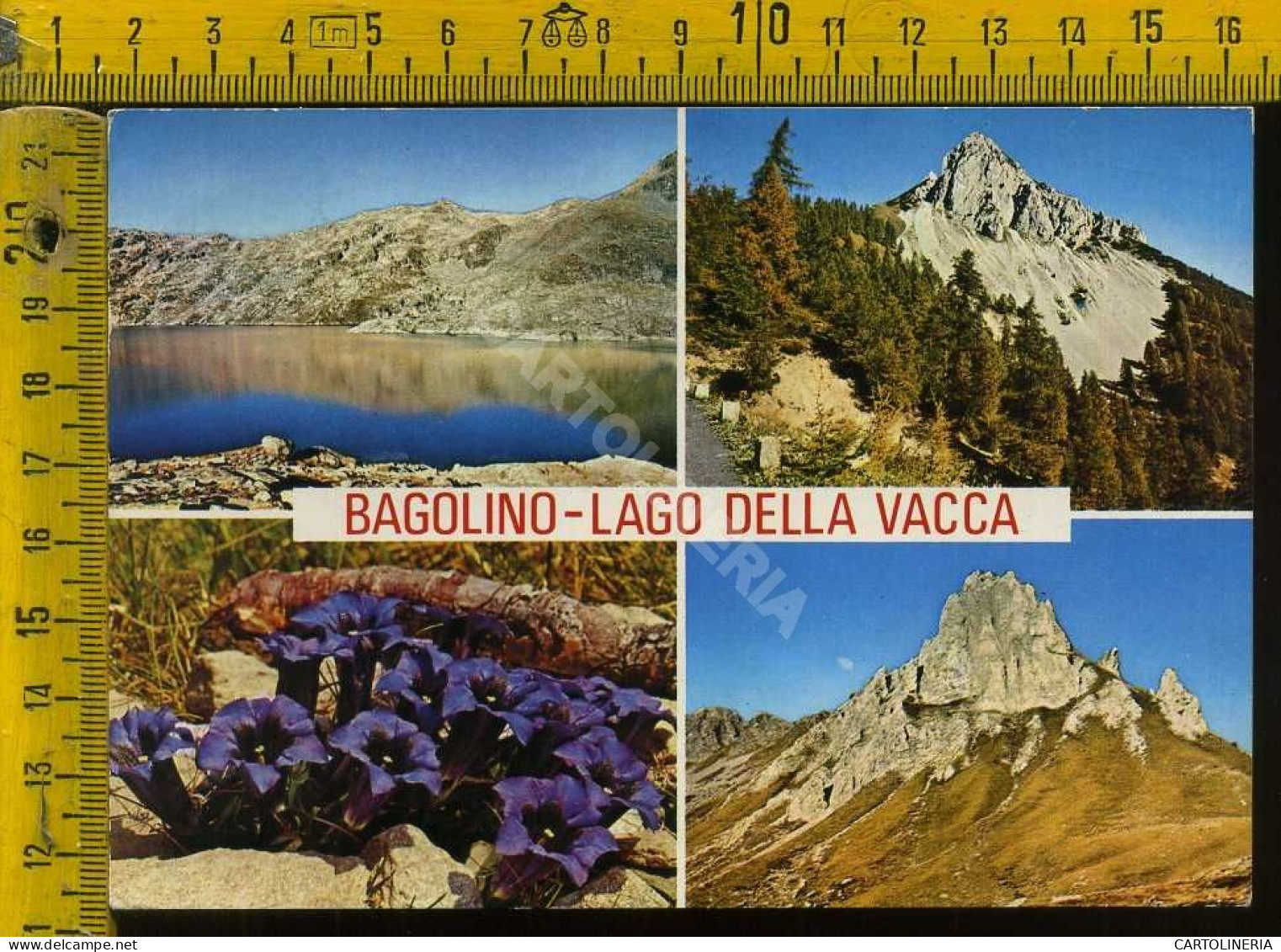 Brescia Bagolino - Lago Della Vacca  - Brescia