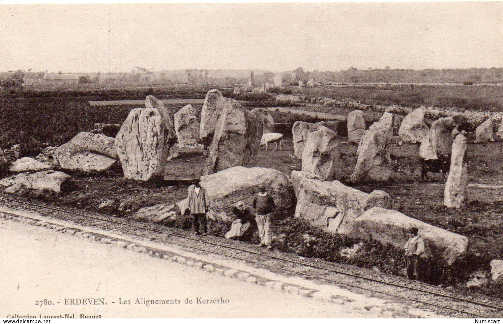 Erdeven Animée Alignements De Kerzerho Menhirs Dolmens - Erdeven