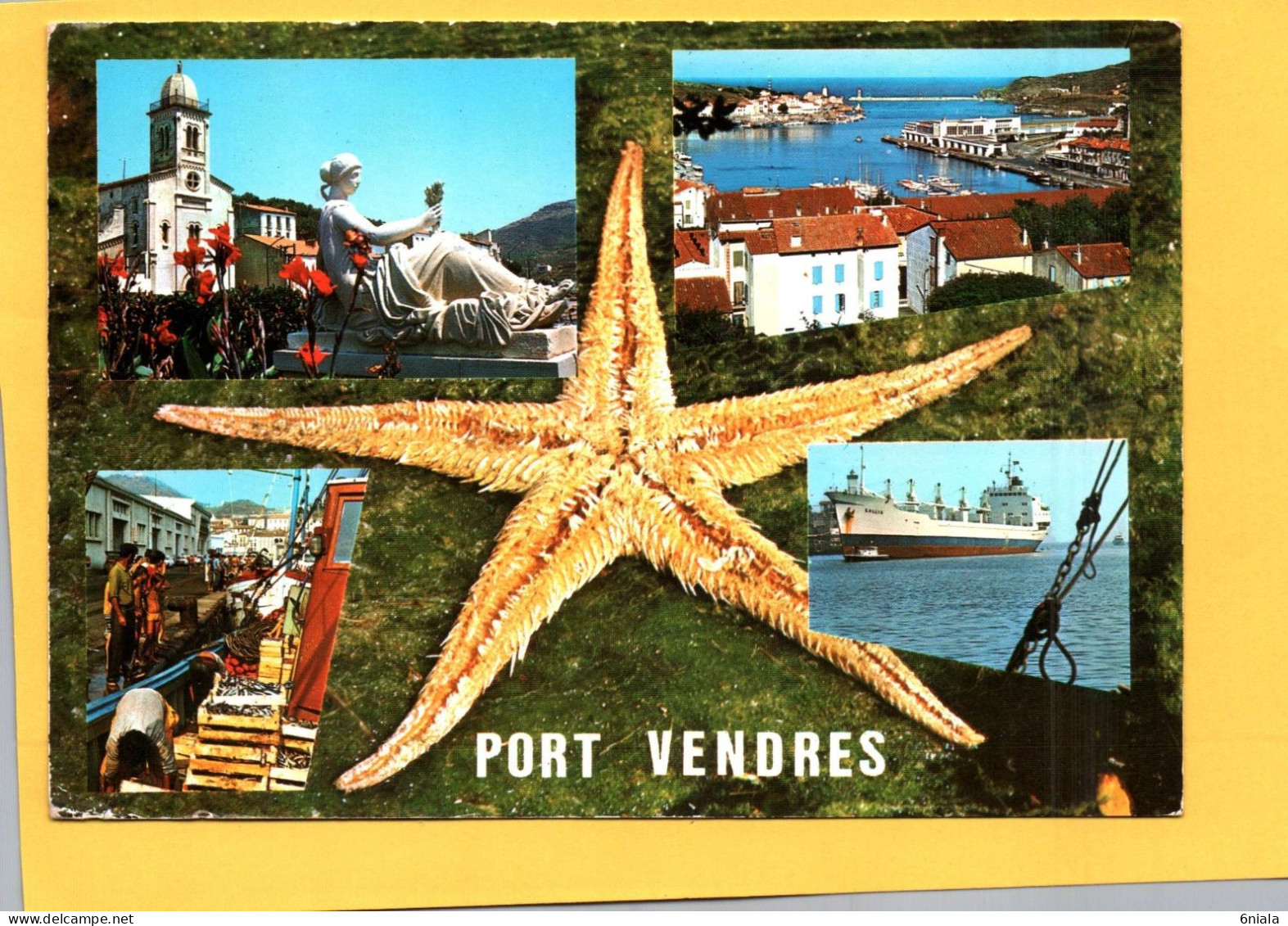 21590 PORT VENDRES  Etoile De Mer, Vénus De Maillol, Eglise, Le Port, Scène De Pèche   (2 Scans) - Port Vendres