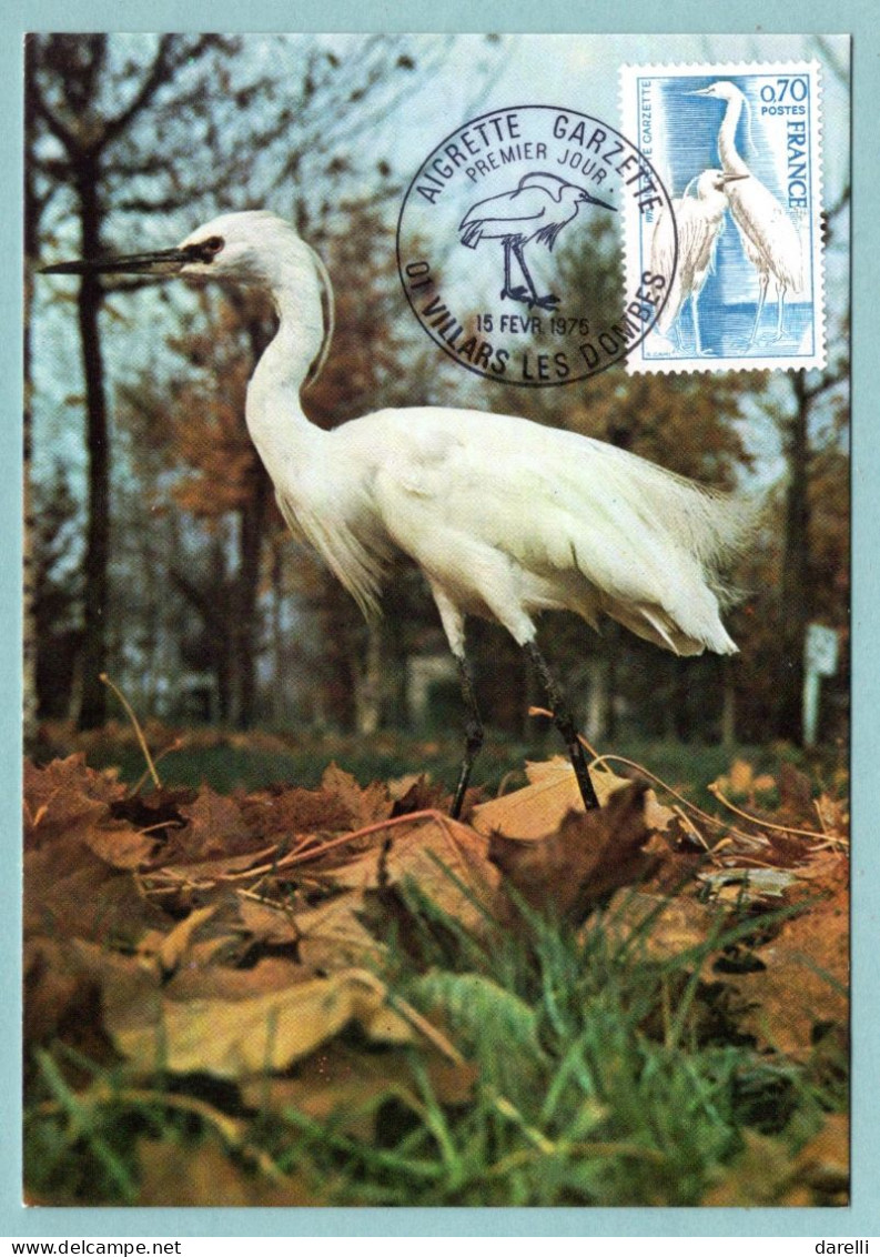 Carte Maximum 1975 - Aigrette Garzette - YT 1820 - 01 Villards Les Dombes - 1970-1979